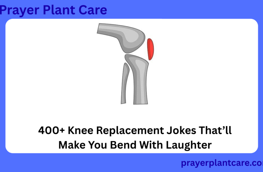 400+ Knee Replacement Jokes That’ll Make You Bend With Laughter