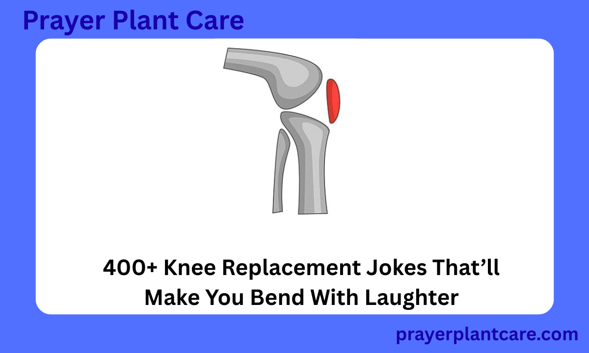 400+ Knee Replacement Jokes That’ll Make You Bend With Laughter