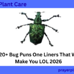 420+ Bug Puns One Liners That Will Make You LOL 2026