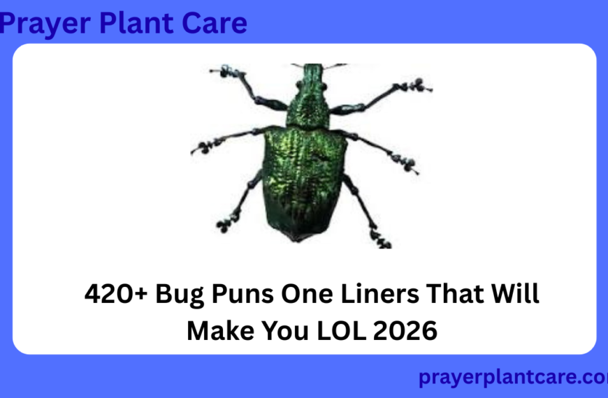 420+ Bug Puns One Liners That Will Make You LOL 2026