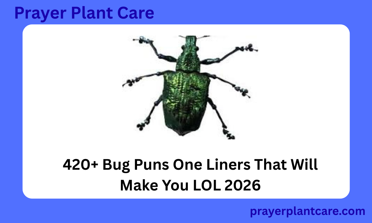 420+ Bug Puns One Liners That Will Make You LOL 2026