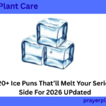 420+ Ice Puns That’ll Melt Your Serious Side For 2026 UPdated