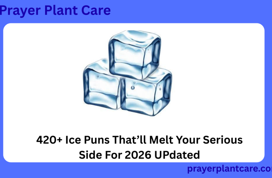 420+ Ice Puns That’ll Melt Your Serious Side For 2026 UPdated