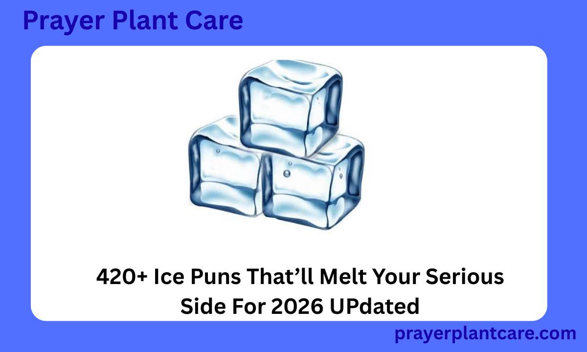 420+ Ice Puns That’ll Melt Your Serious Side For 2026 UPdated