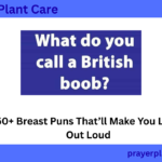 450+ Breast Puns That’ll Make You Laugh Out Loud