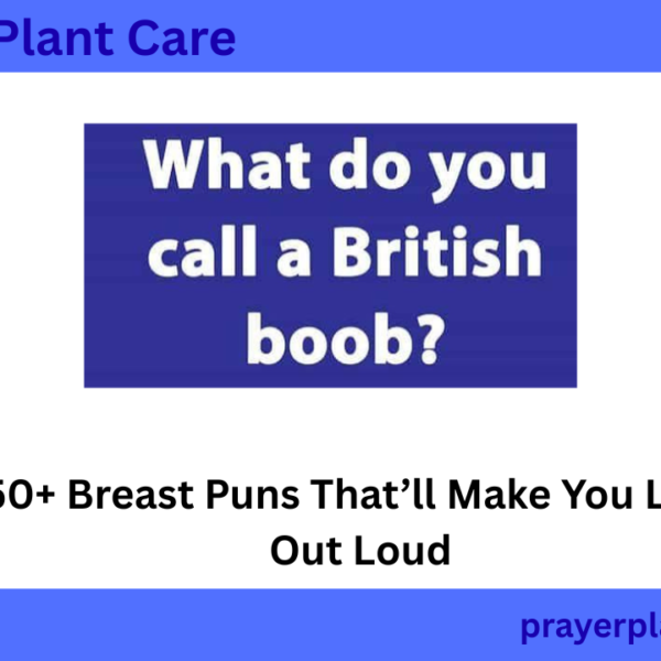 450+ Breast Puns That’ll Make You Laugh Out Loud