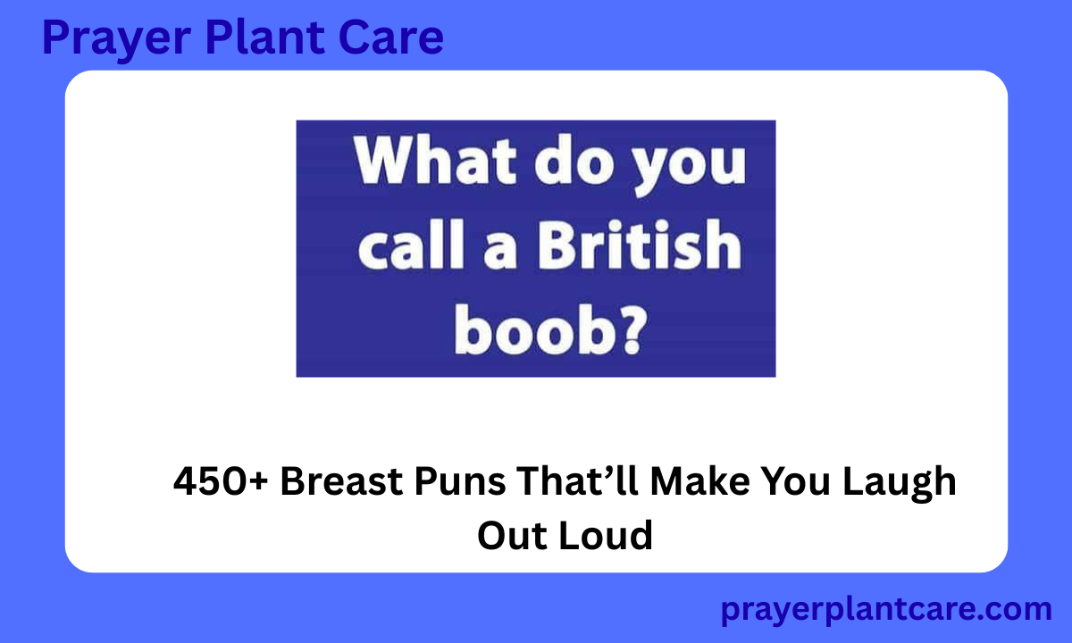 450+ Breast Puns That’ll Make You Laugh Out Loud