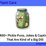 450+ Pickle Puns, Jokes & Captions That Are Kind of a Big Dill