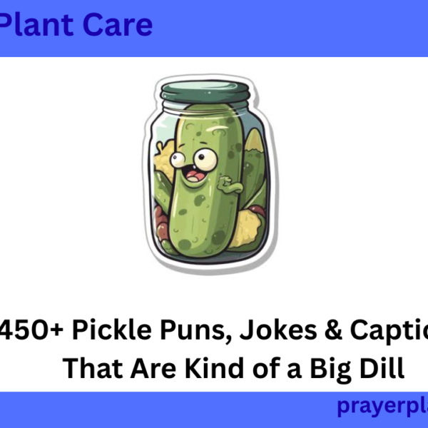 450+ Pickle Puns, Jokes & Captions That Are Kind of a Big Dill