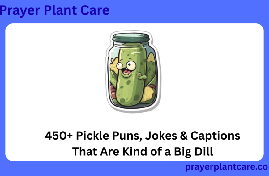 450+ Pickle Puns, Jokes & Captions That Are Kind of a Big Dill