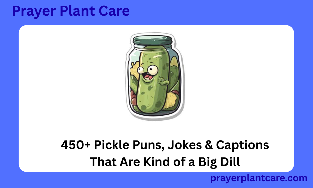450+ Pickle Puns, Jokes & Captions That Are Kind of a Big Dill