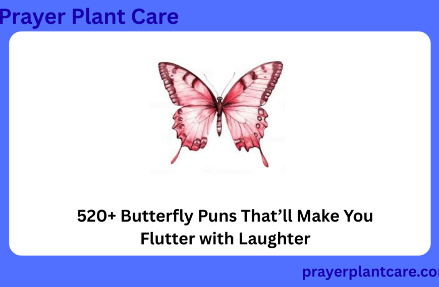 520+ Butterfly Puns That’ll Make You Flutter with Laughter