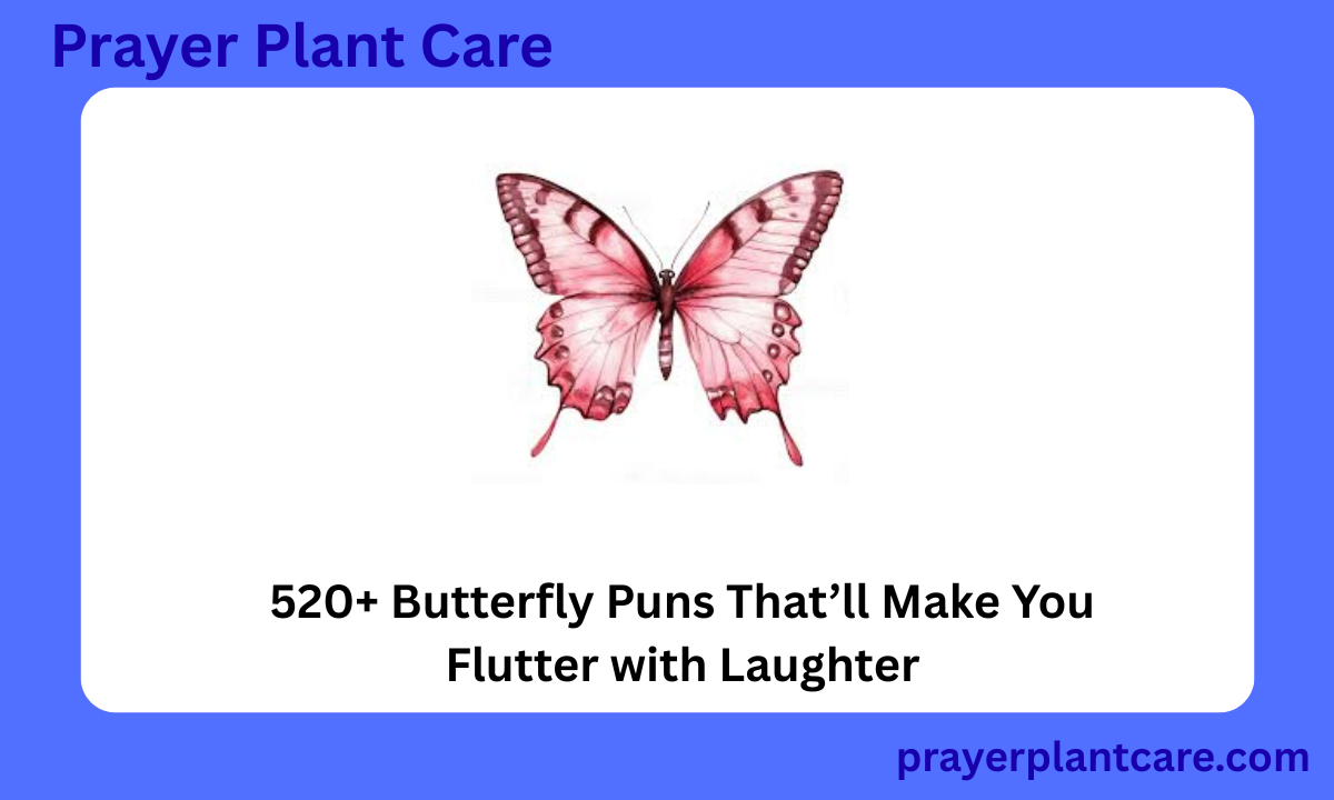 520+ Butterfly Puns That’ll Make You Flutter with Laughter