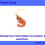 520+ Shrimp Puns That'll Make You Snicker, Snap, and Share