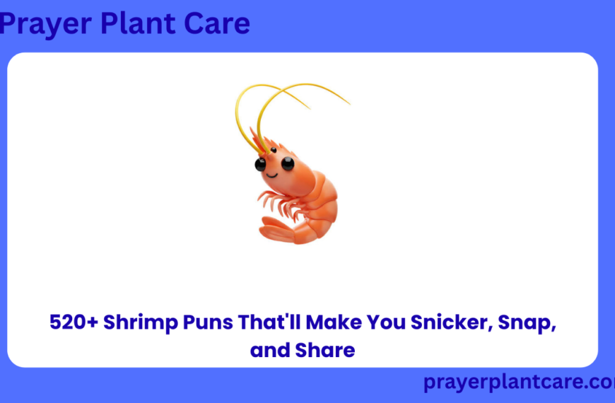 520+ Shrimp Puns That'll Make You Snicker, Snap, and Share