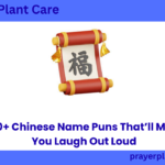 560+ Chinese Name Puns That’ll Make You Laugh Out Loud