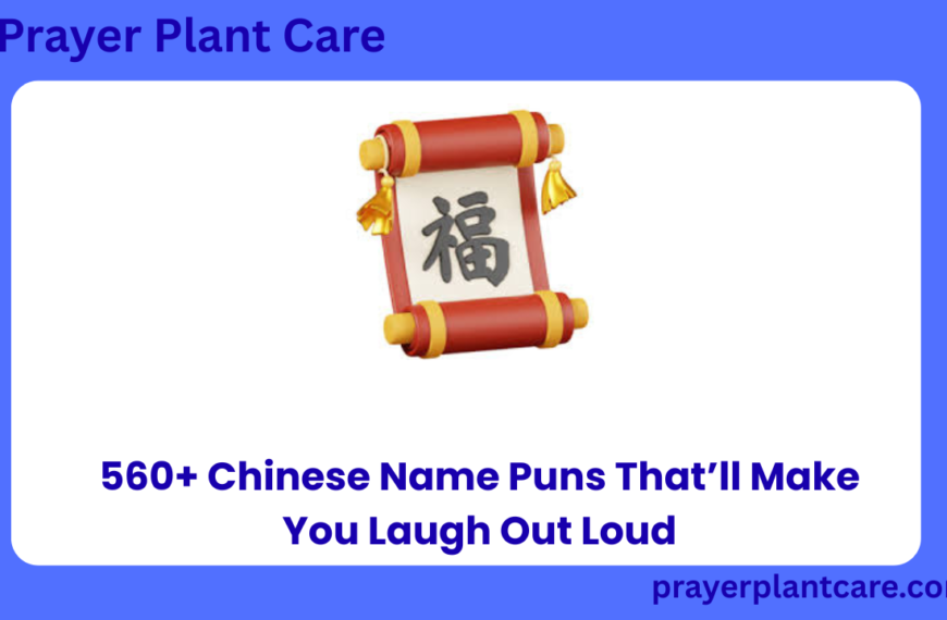 560+ Chinese Name Puns That’ll Make You Laugh Out Loud
