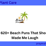 620+ Beach Puns That Shore Made Me Laugh