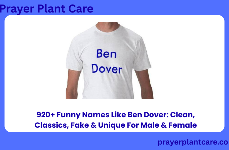 920+ Funny Names Like Ben Dover Clean, Classics, Fake & Unique For Male & Female