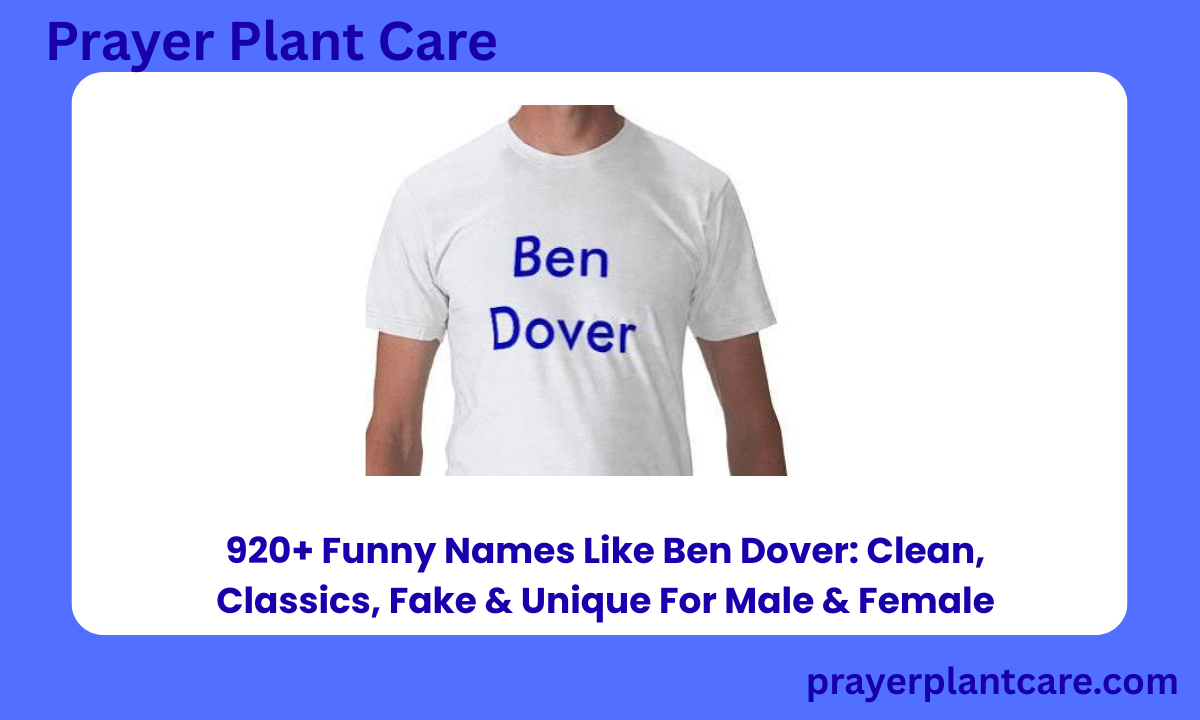 920+ Funny Names Like Ben Dover Clean, Classics, Fake & Unique For Male & Female