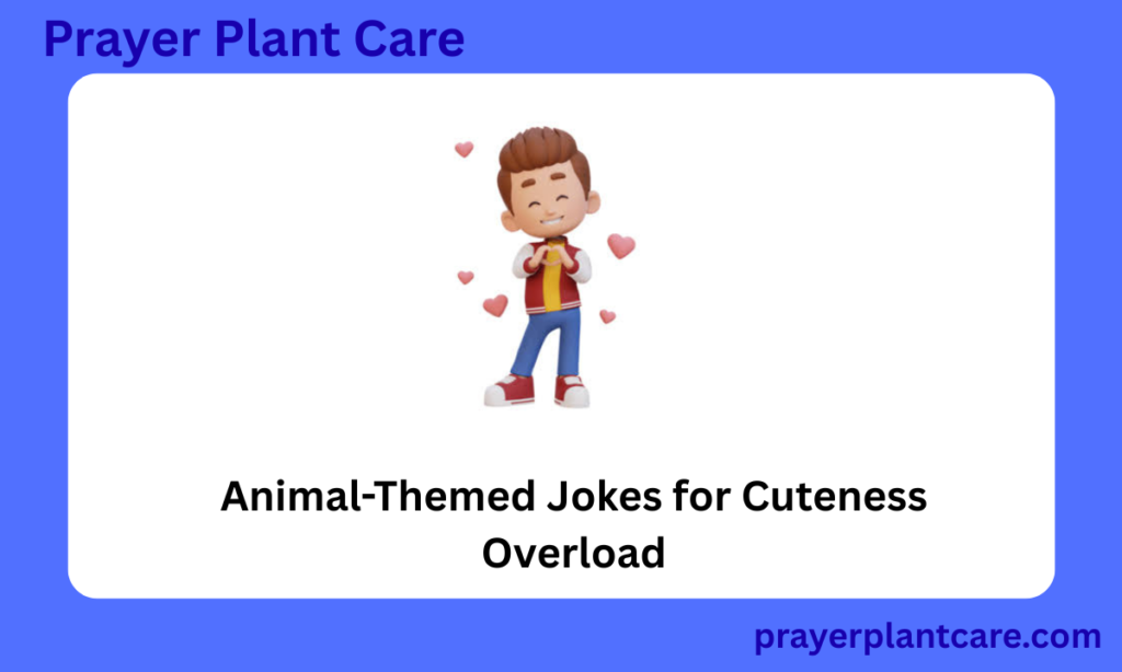 Animal-Themed Jokes for Cuteness Overload