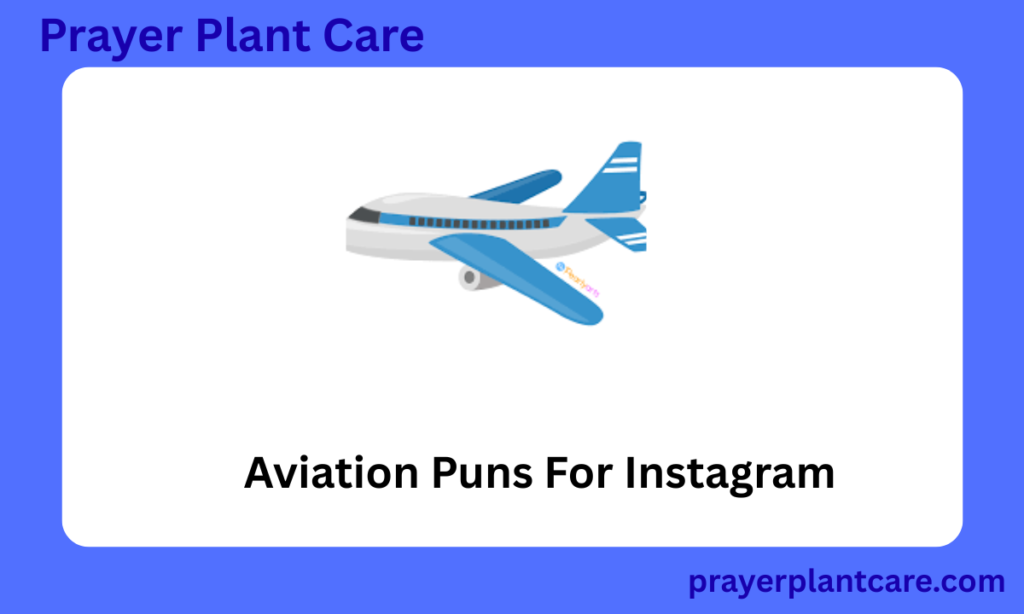Aviation Puns For Instagram
