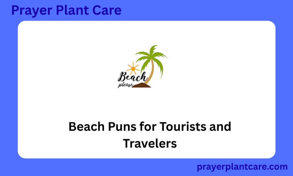 Beach Puns for Tourists and Travelers