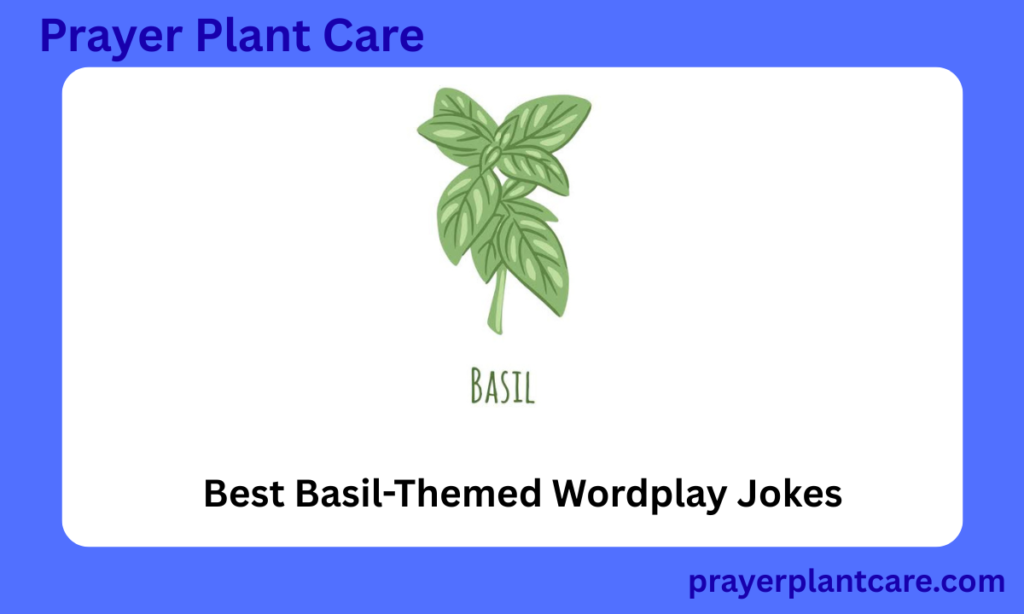 Best Basil-Themed Wordplay Jokes