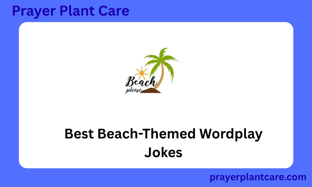 Best Beach-Themed Wordplay Jokes