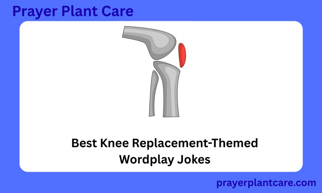 Best Knee Replacement-Themed Wordplay Jokes