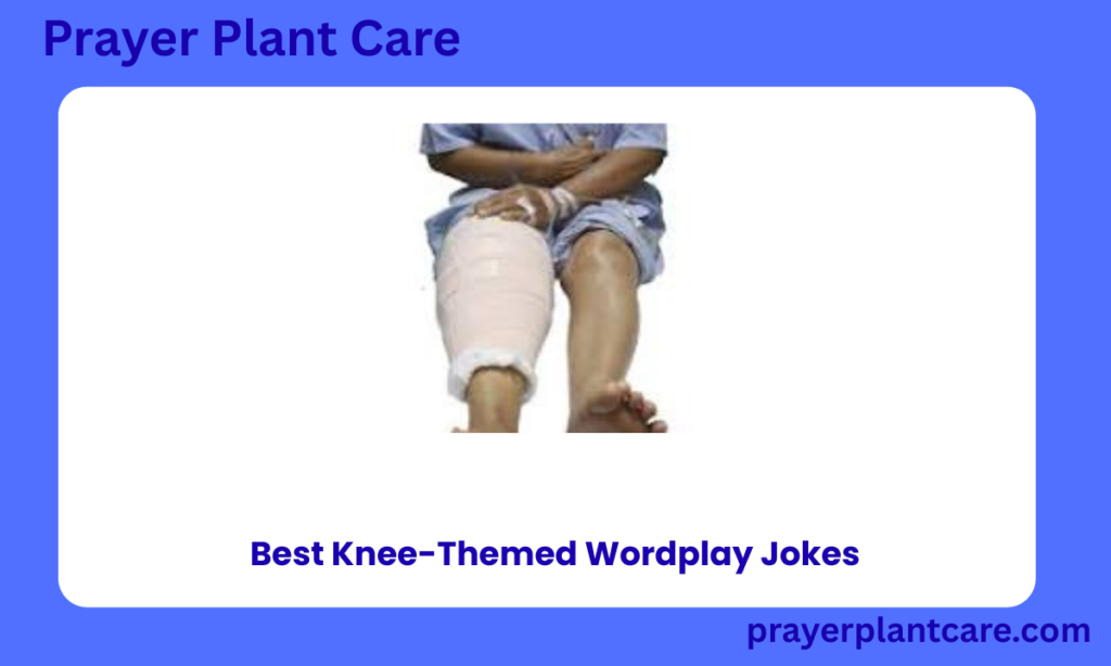Best Knee-Themed Wordplay Jokes