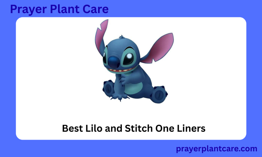 Best Lilo and Stitch One Liners
