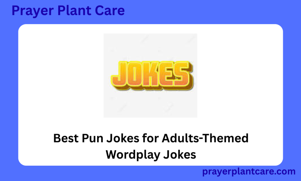 Best Pun Jokes for Adults-Themed Wordplay Jokes