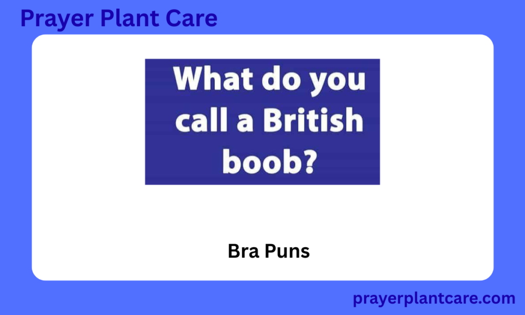 Bra Puns