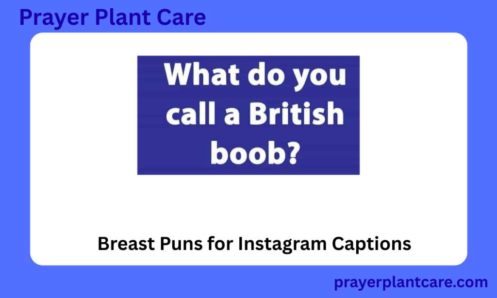 Breast Puns for Instagram Captions