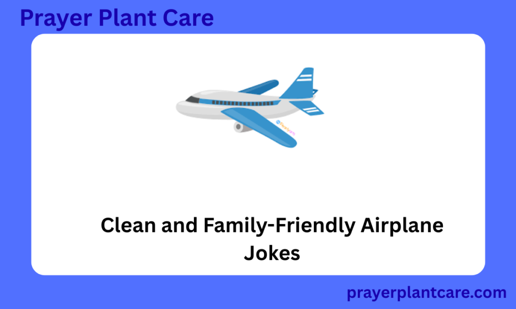 Clean and Family-Friendly Airplane Jokes