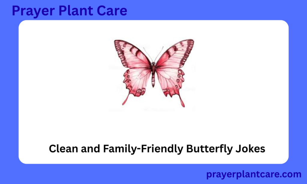 Clean and Family-Friendly Butterfly Jokes