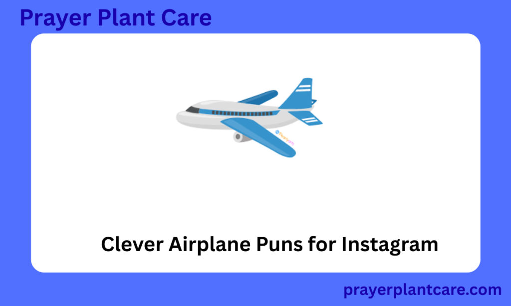Clever Airplane Puns for Instagram