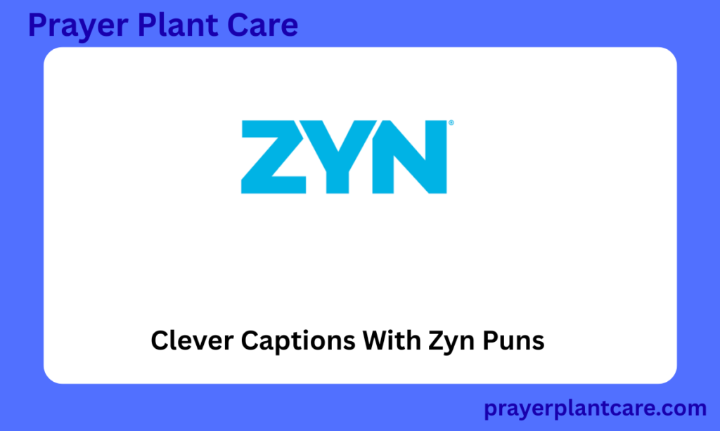 Clever Captions With Zyn Puns