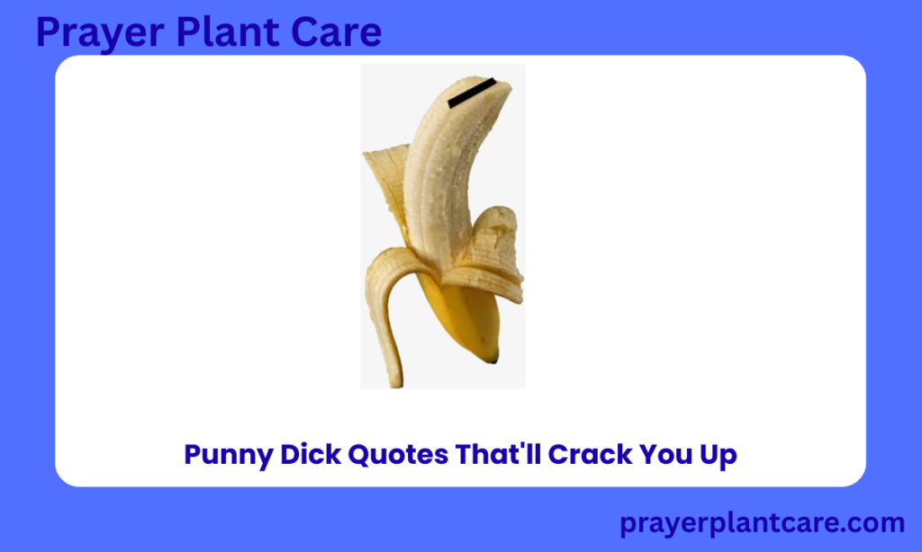 Clever Dick Jokes Puns for Instagram