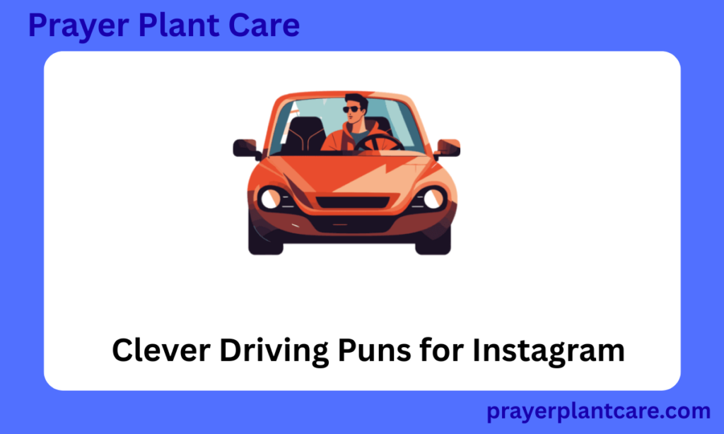 Clever Driving Puns for Instagram