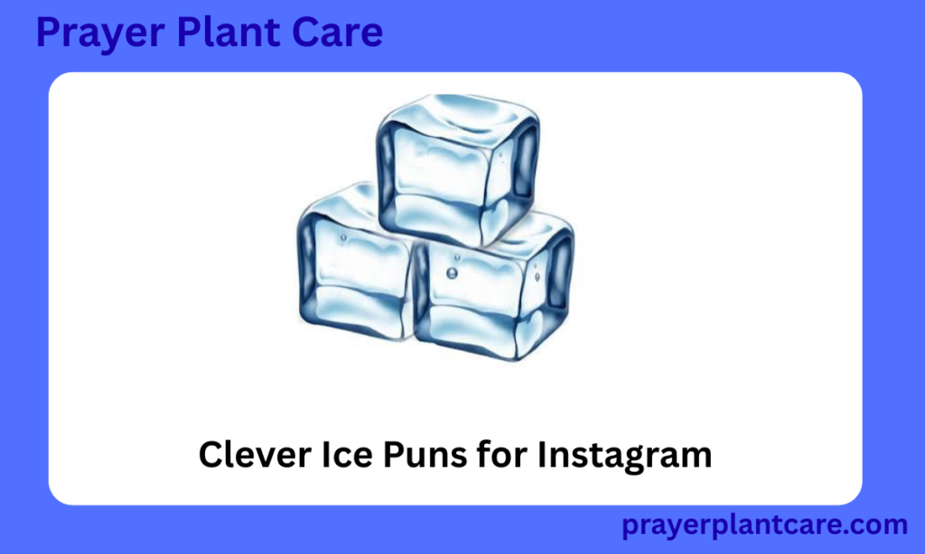 Clever Ice Puns for Instagram