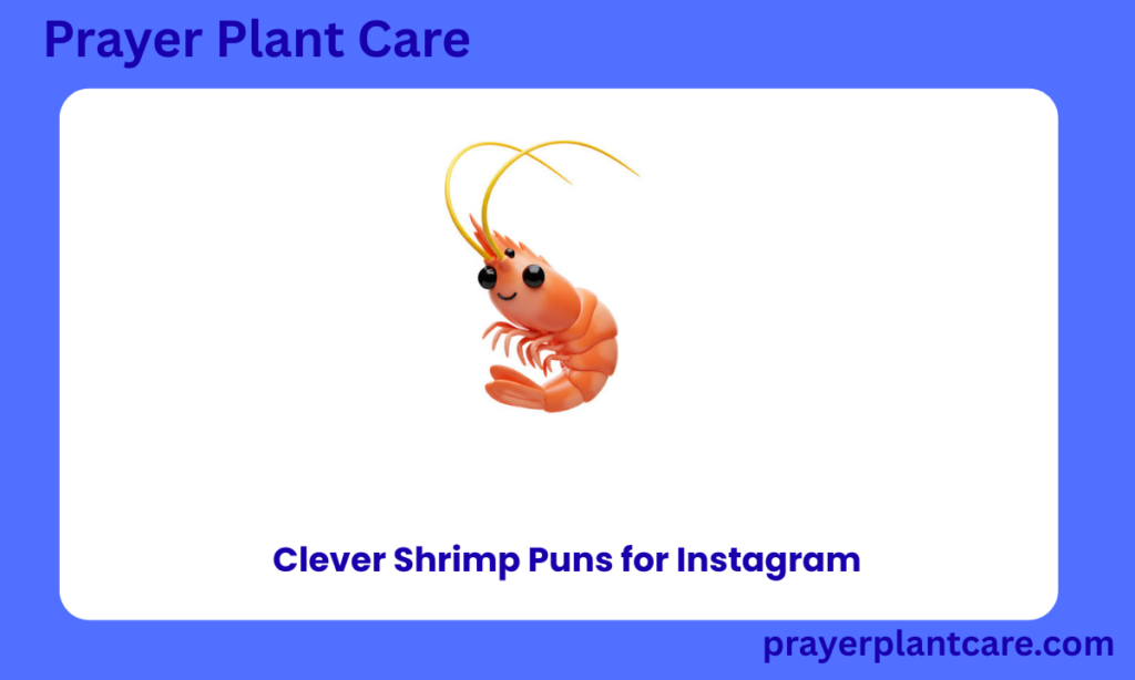 Clever Shrimp Puns for Instagram