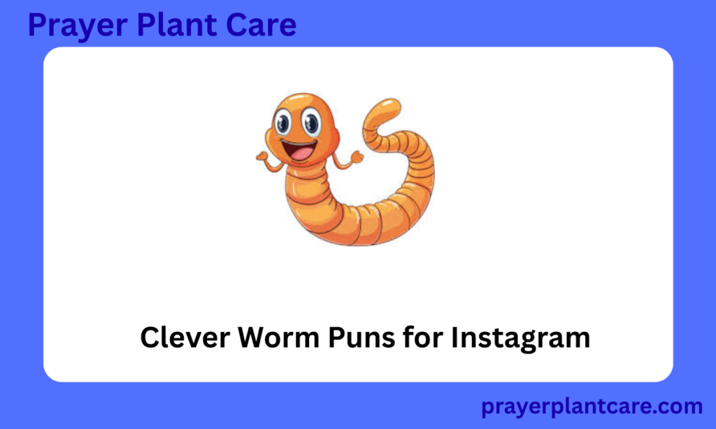 Clever Worm Puns for Instagram