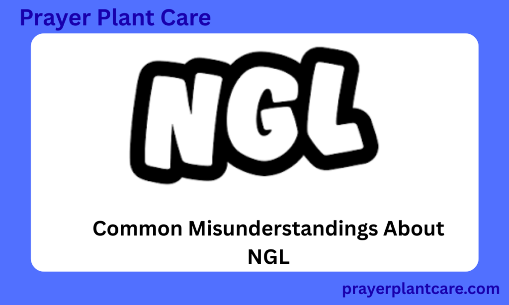 Common Misunderstandings About NGL