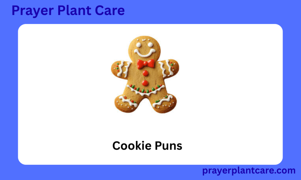 Cookie Puns
