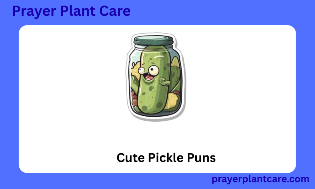 Cute Pickle Puns