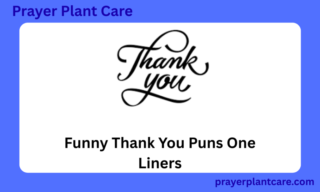 Funny Thank You Puns One Liners