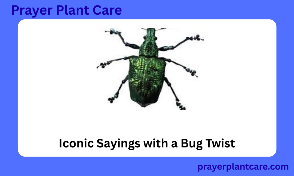 Iconic Sayings with a Bug Twist