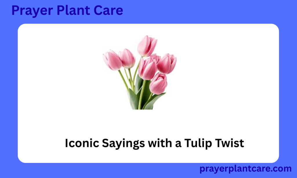 Iconic Sayings with a Tulip Twist